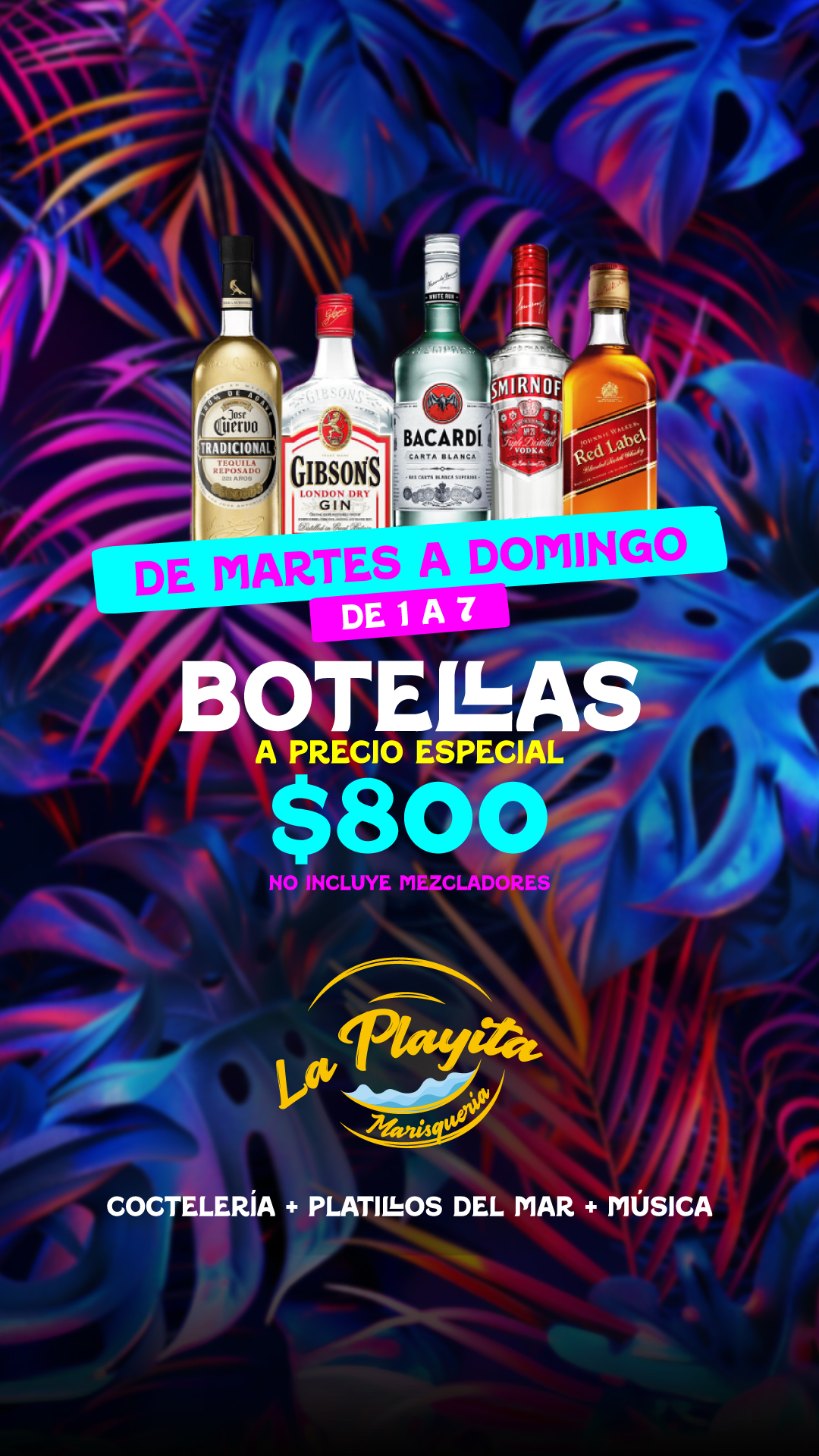 Playita Botellas_9x16